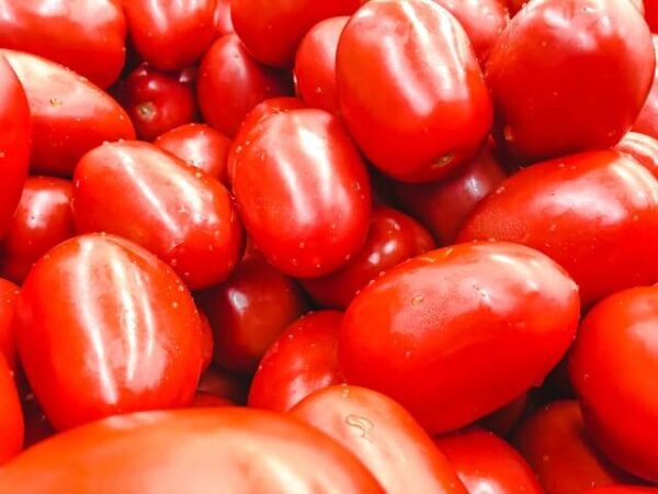 Billede af tomater