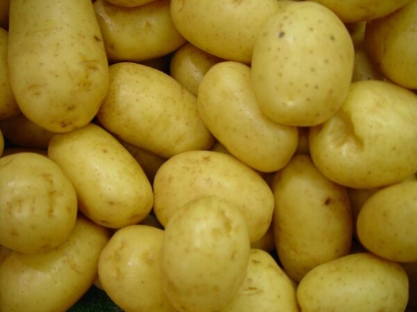 Billede af petit kartofler
