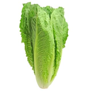 ROMANIE SALAT finsnittet