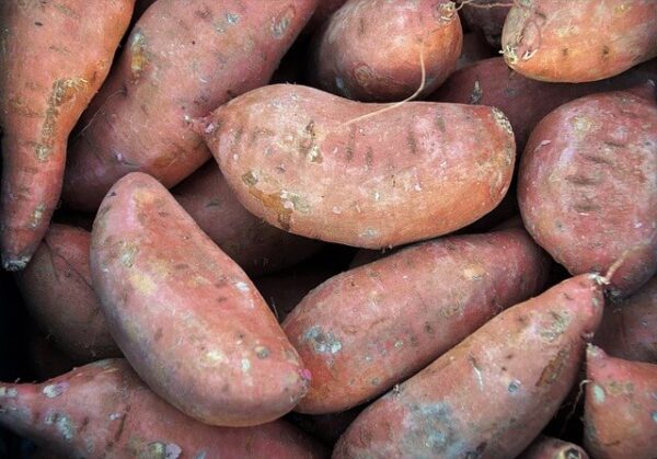 Billede af søde kartofler