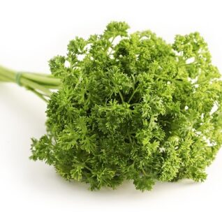 PERSILLE DE
