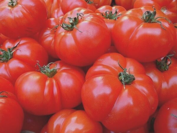 Billede af tomater