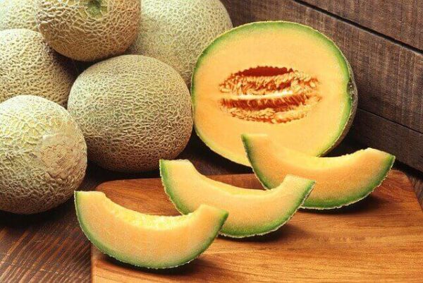 Billede af cantalup melon