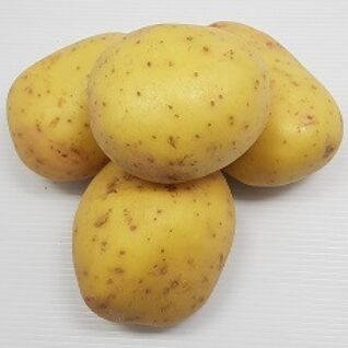 BAGEKARTOFLER dk. sk.